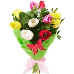 Beautiful, spring bouquet of 9 colourful tulips, abundant greenery and nice wrapping. For complete effect - we add small ornamental butterfly.
