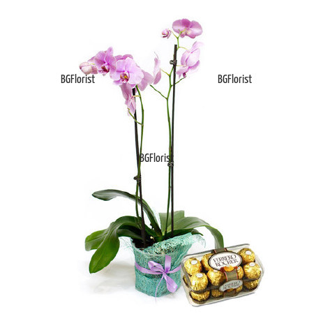 An online order and a delivery of orchid  and Ferrero Rocher