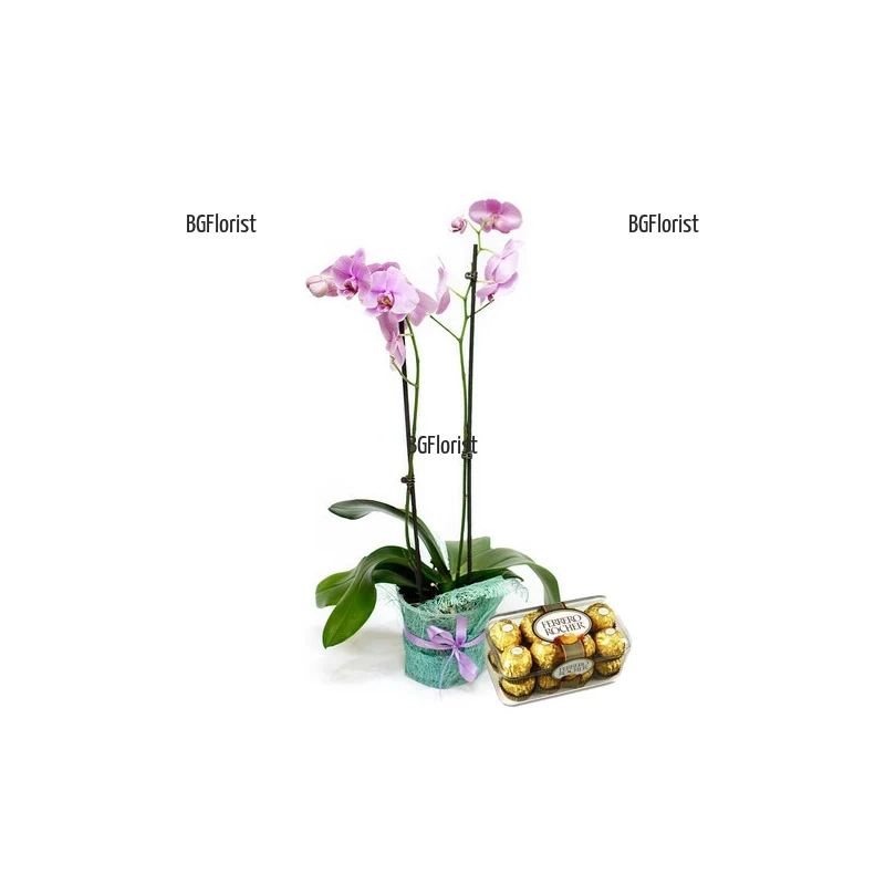 Поръчка и доставка на орхидея и бонбони Фереро