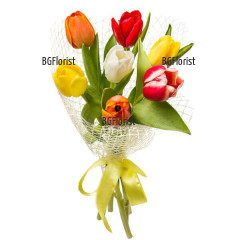 Шарен, красив букет от пролетни лалета със семпла опаковка, която да не отклони вниманието от цветята.