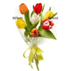 A colourful and beautiful bouquet of spring tulips with a plain wrap, that will not take the attention off the flowers.