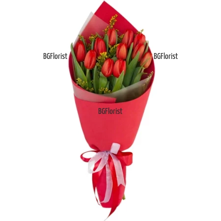 Send  fresh bouquet of scarlet tulips to Bulgaria