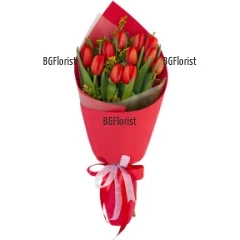 Send  fresh bouquet of scarlet tulips to Bulgaria