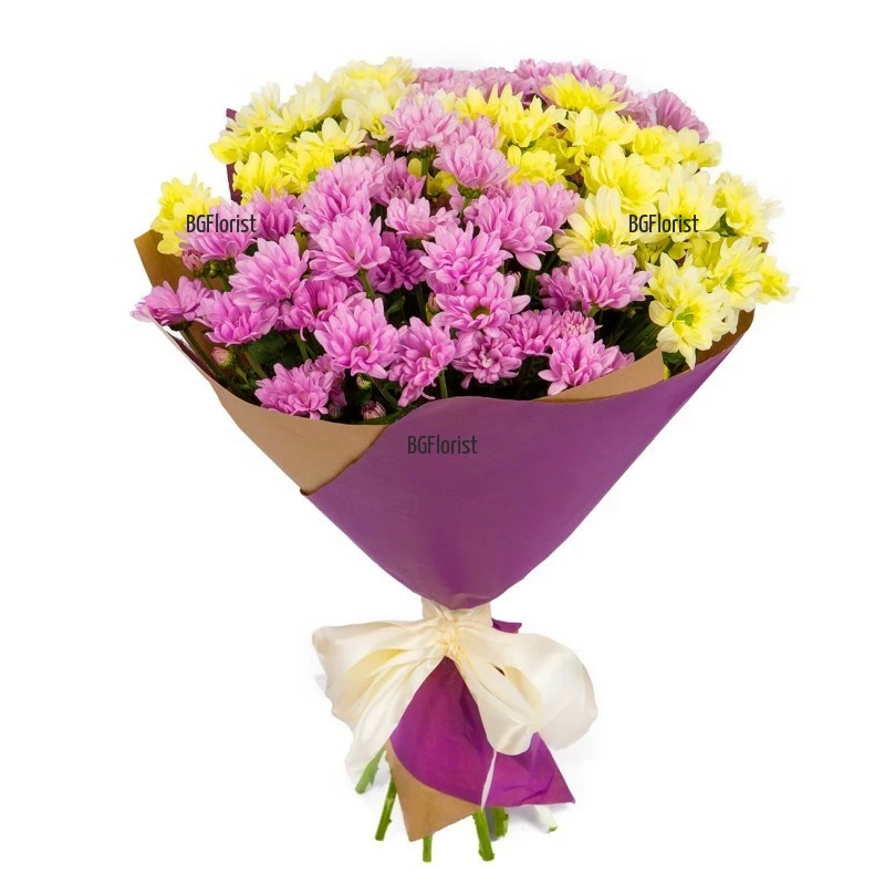 Online order and send to Bulgaria chrysanthemums bouquet