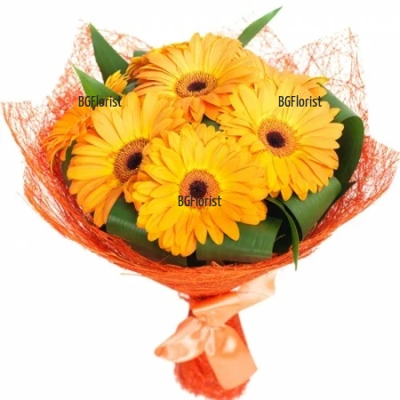 Flower delivery to Bulgaria bouquet of gerberas