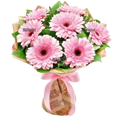 Bouquet of pink gerberas Serenata