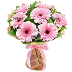 Send to Bulgaria a classic bouquet of gerberas in a soft, pink tone. The bouquet shown in the photo is a standard size.