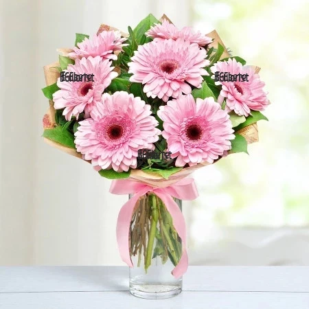 Bouquet of pink gerberas Serenata