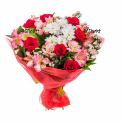 Букет от розови алстромерии, страстни червени рози и бели хризантеми, аранжирани по умел начин в комбинация със свежи зеленини и опаковка.ьжцьць
