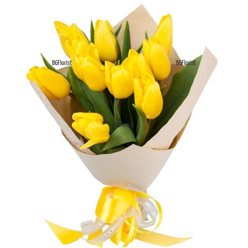 Order of a bouquet of 11 yellow tulips