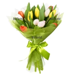 We offer you a beautiful and charming bouquet of fresh, spring tulips - 15 stems, arranged with airy packaging and a bow.