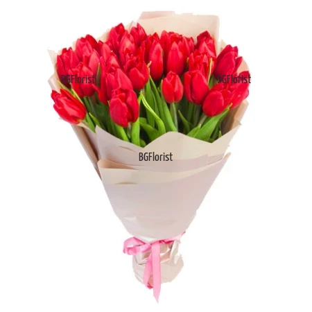 Order and delivery of a bouquet of 31 red tulips