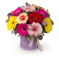 Delivery of gerberas in a box to Bulgaria