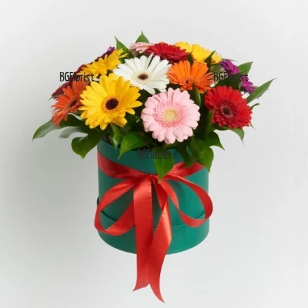 Delivery of gerberas in a box to Bulgaria