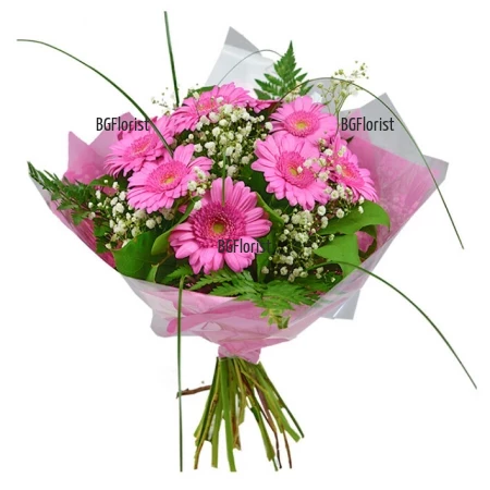 Delivery of a bouquet of pink gerberas