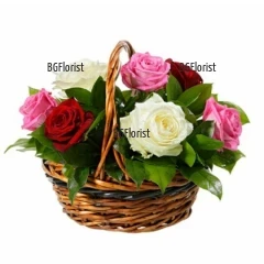 Красива, симпатична и мила комбинация от рози в три различни цвята, аранжирани в прегръдката на свежа зеленина. Всичко това - в подходяща кошница.