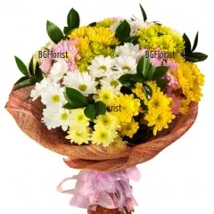 Send to Bulgaria bouquet of fresh chrysanthemums