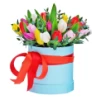 Send to Bulgaria tulips in a round box