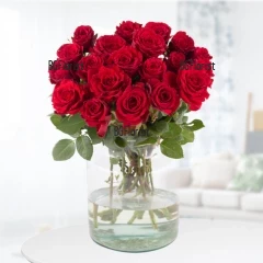 Send bouquet of red roses to Sofia by courier