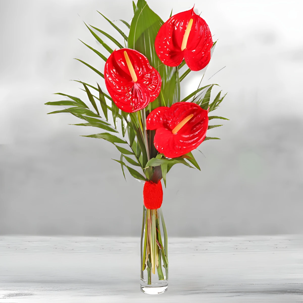 Send exotic bouquet of three red anthuriums to Sofia
