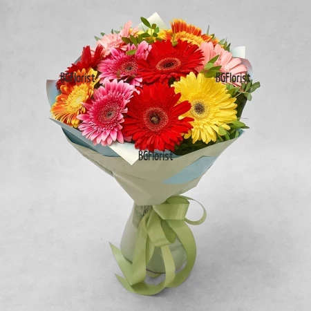 Send bouquet of mixed gerberas to Sofia