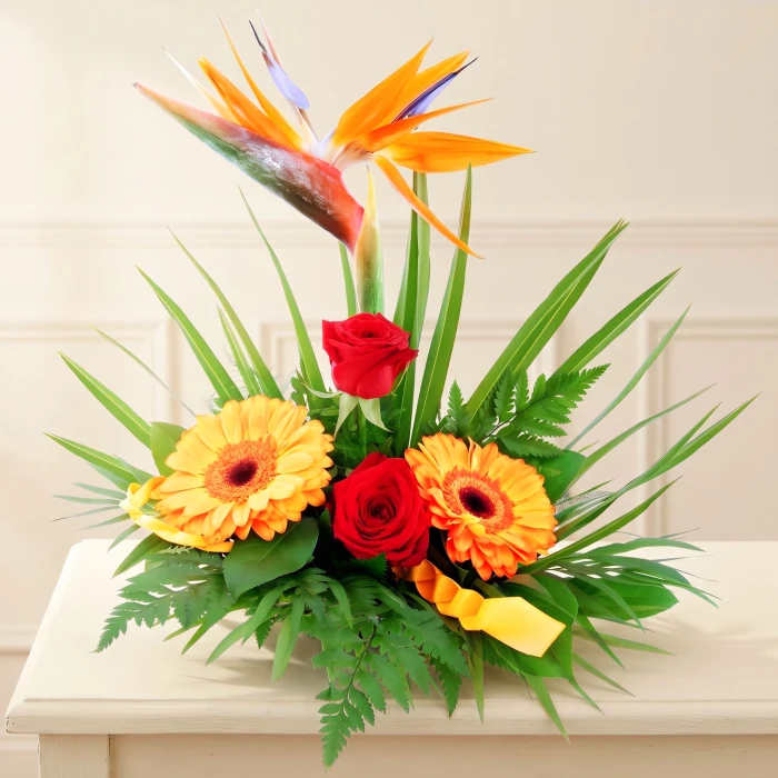 Strelitzia, Rose & Gerbera Arrangement Delivery to Sofia