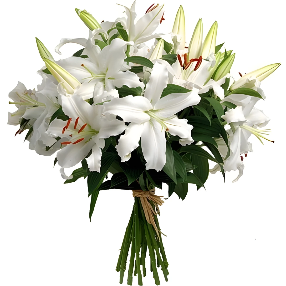 Send a bouquet of white lilies by courier to Sofia.