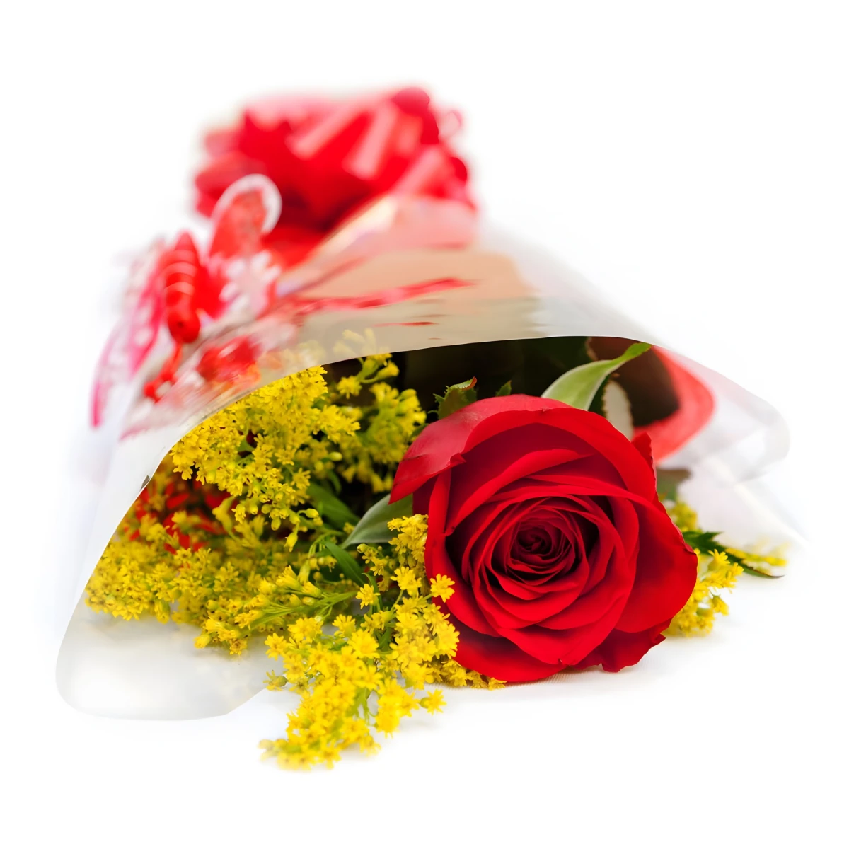 Send bouquet of one red rose