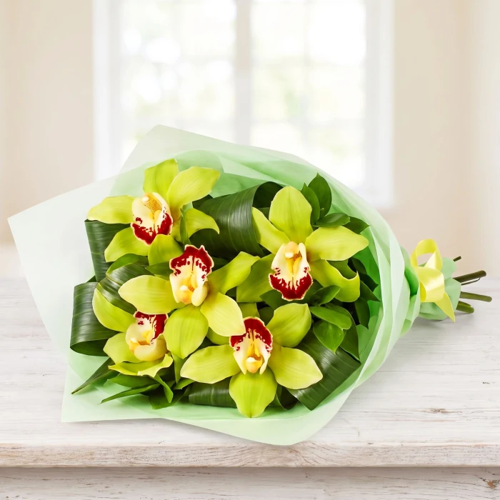 Bouquet of 5 Green Cymbidium Orchids – Sofia Delivery