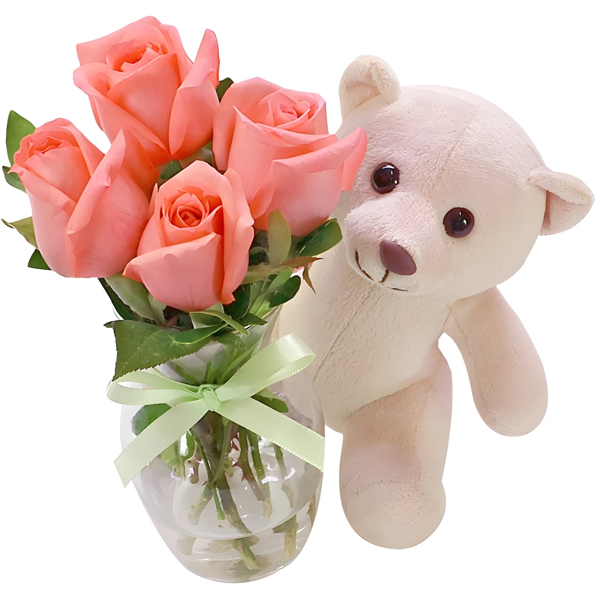 Send pink roses and Teddy Bear to Sofia