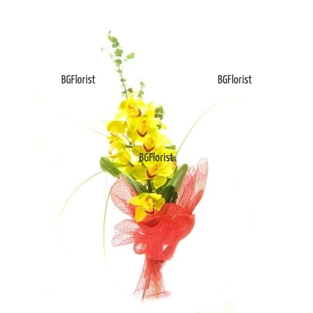 Send bouquet of yellow Cymbidium orchid to Sofia