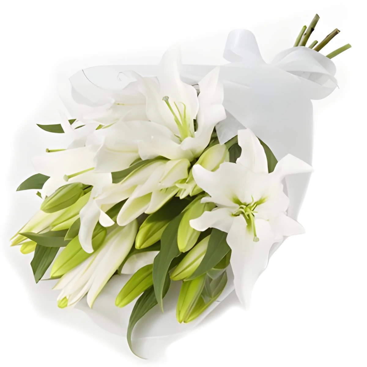 Send classic bouquet of white lilies to Sofia