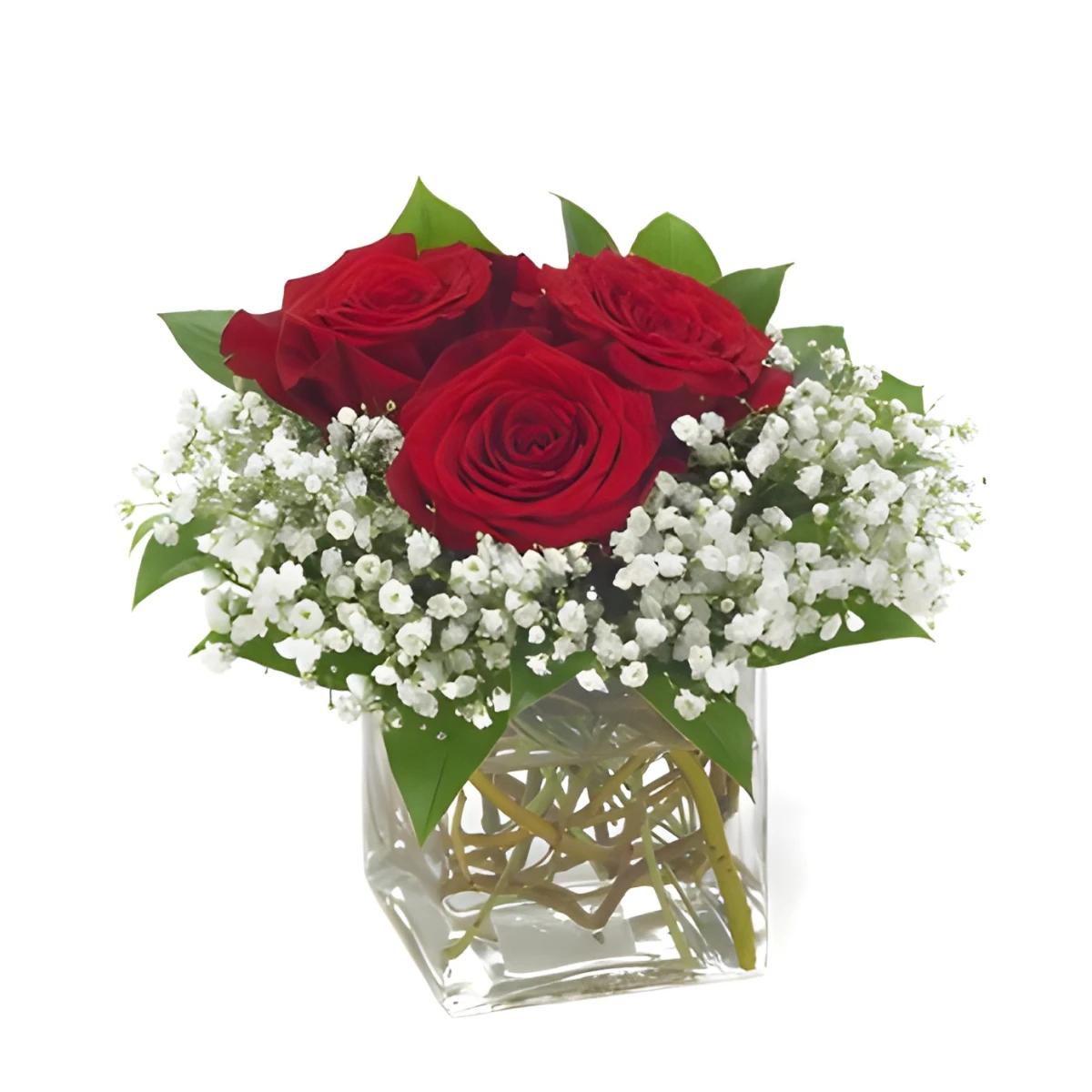 Send arrangement with red roses
