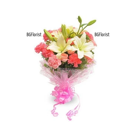 Send bouquet of lilies and carnations to Sofia