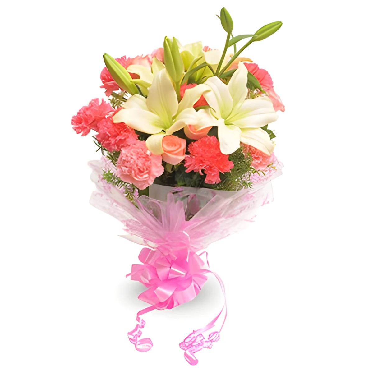 Send bouquet of lilies and carnations to Sofia