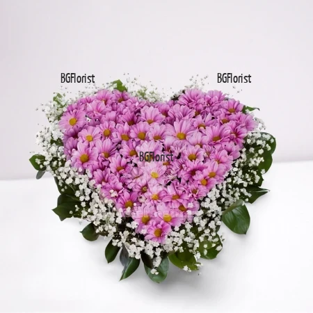 Send heart of pink chrysanthemums to Sofia.