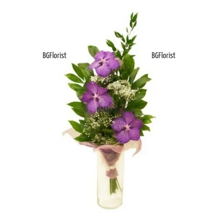 Send bouquet of Vanda orchids