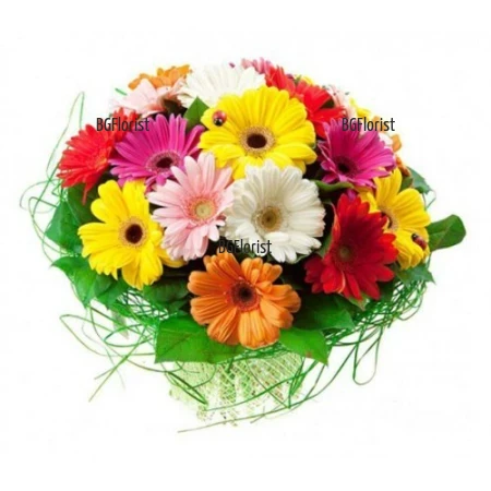 Funny Sun - Send bouquet of gerberas to Sofia