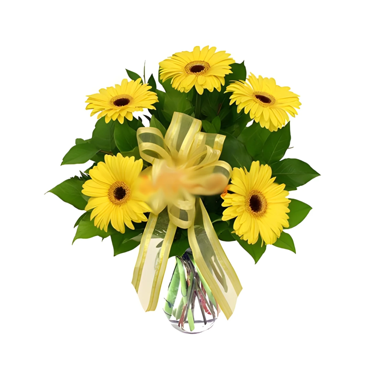 Send yellow gerberas in a vase