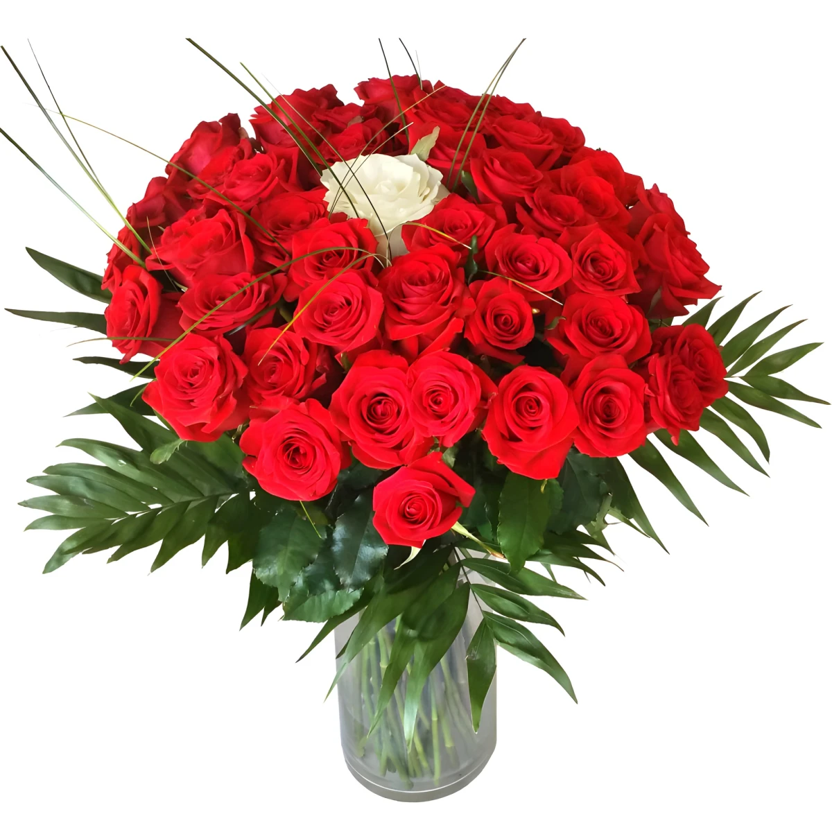 Send bouquet of 51 roses to Sofia