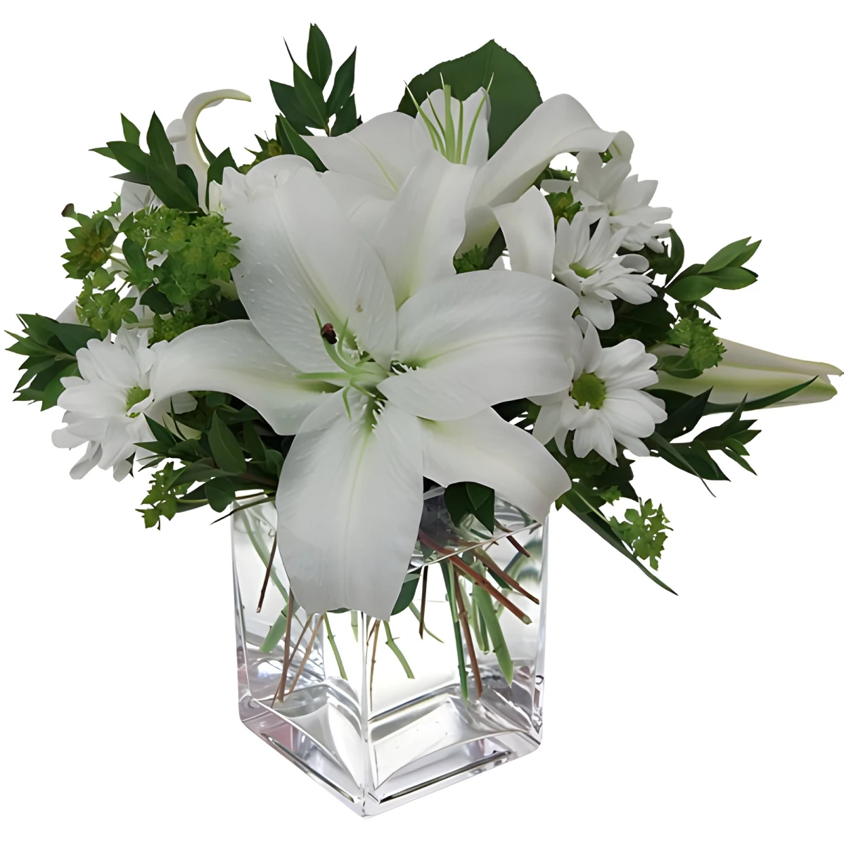 Send arrangement with white flowers to Sofia