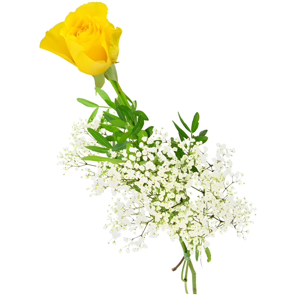 Send one yellow rose