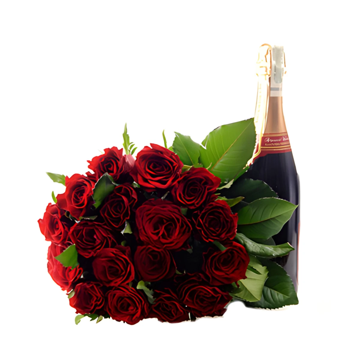Send stylish bouquet of roses and gifts to Sofia