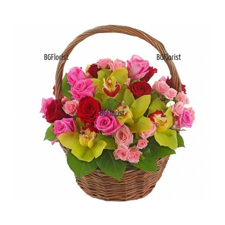 Send basket with orchids and roses to Sofia