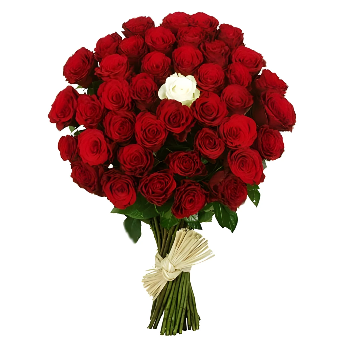 Send bouquet of roses