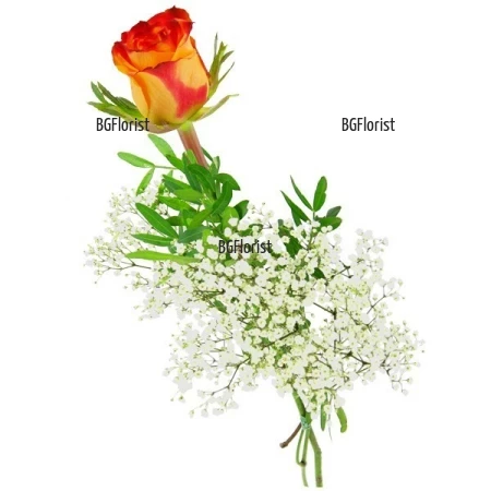 Send one orange rose and greenery