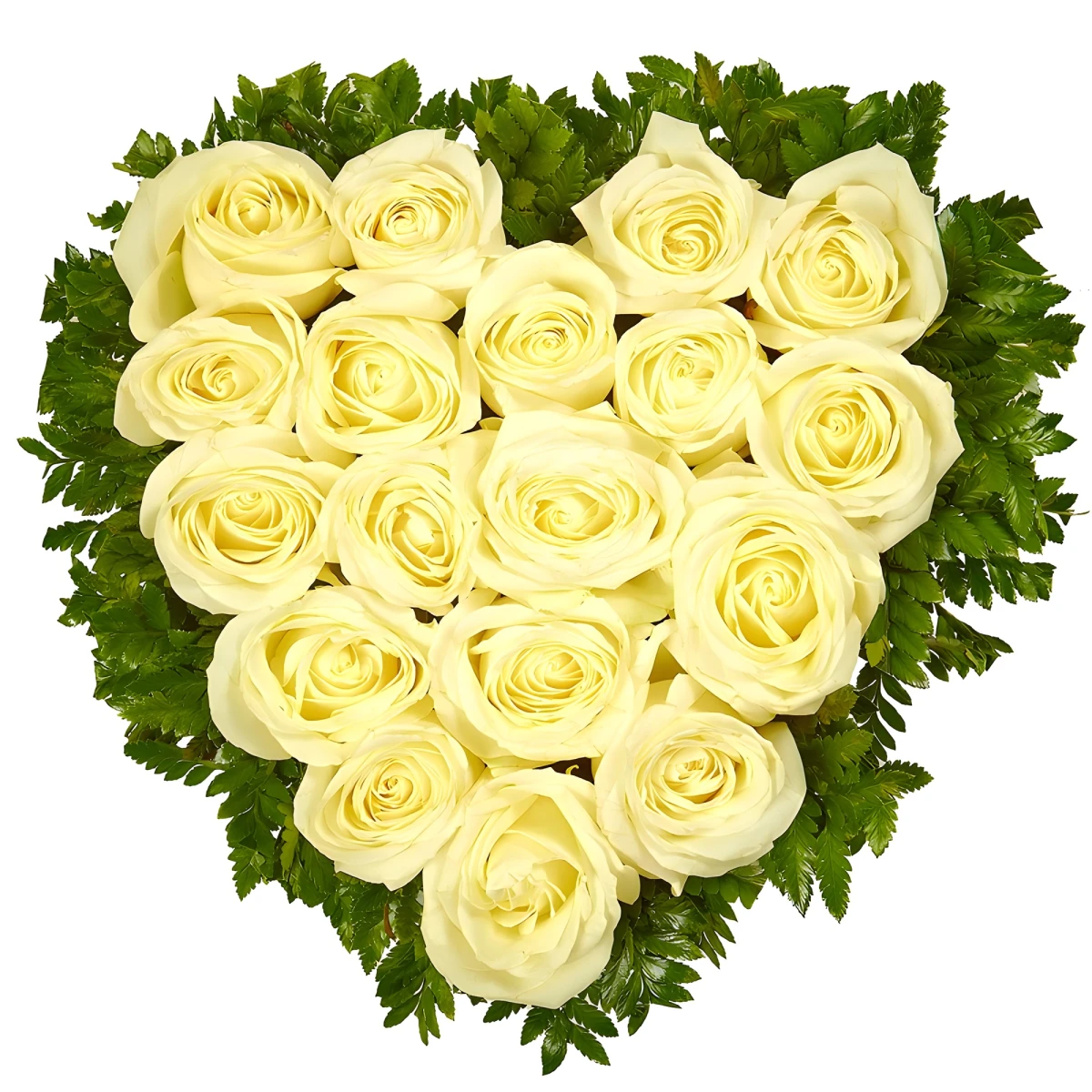 Send heart of white ecuadorian roses by courier