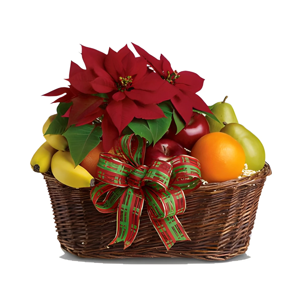 Коледна звезда и плодове в кошница