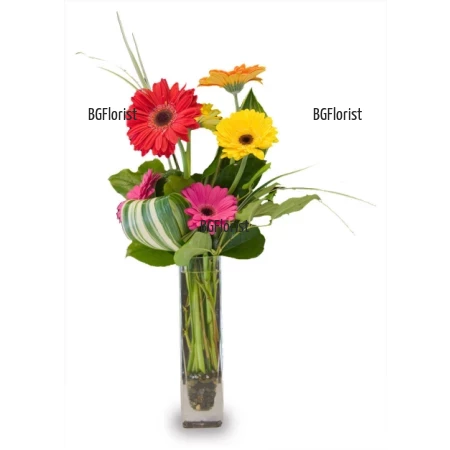 Order bouquet of gerbers and glass vase to Sofia.
