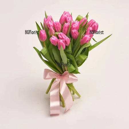 Send bouquet of pink tulips by courier to Plovdiv